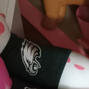 Eagles NFL dog ON HOLD!!!